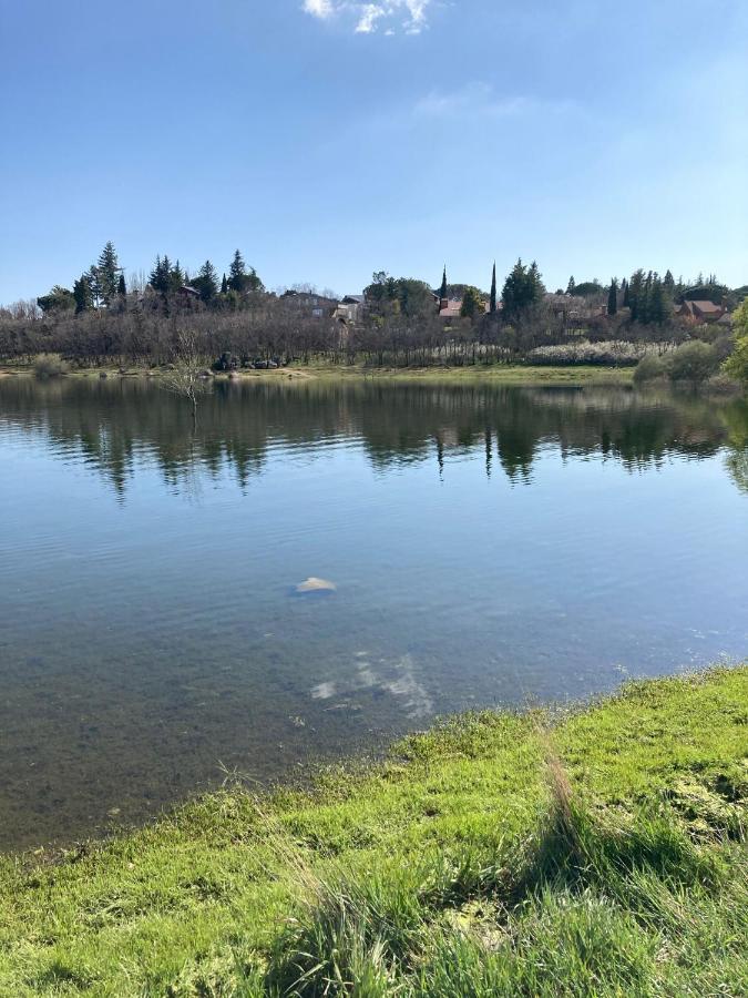 Los Cedros, Gran Chalet Con Piscina Y Apartamento En Navacerrada Βίλα Εξωτερικό φωτογραφία