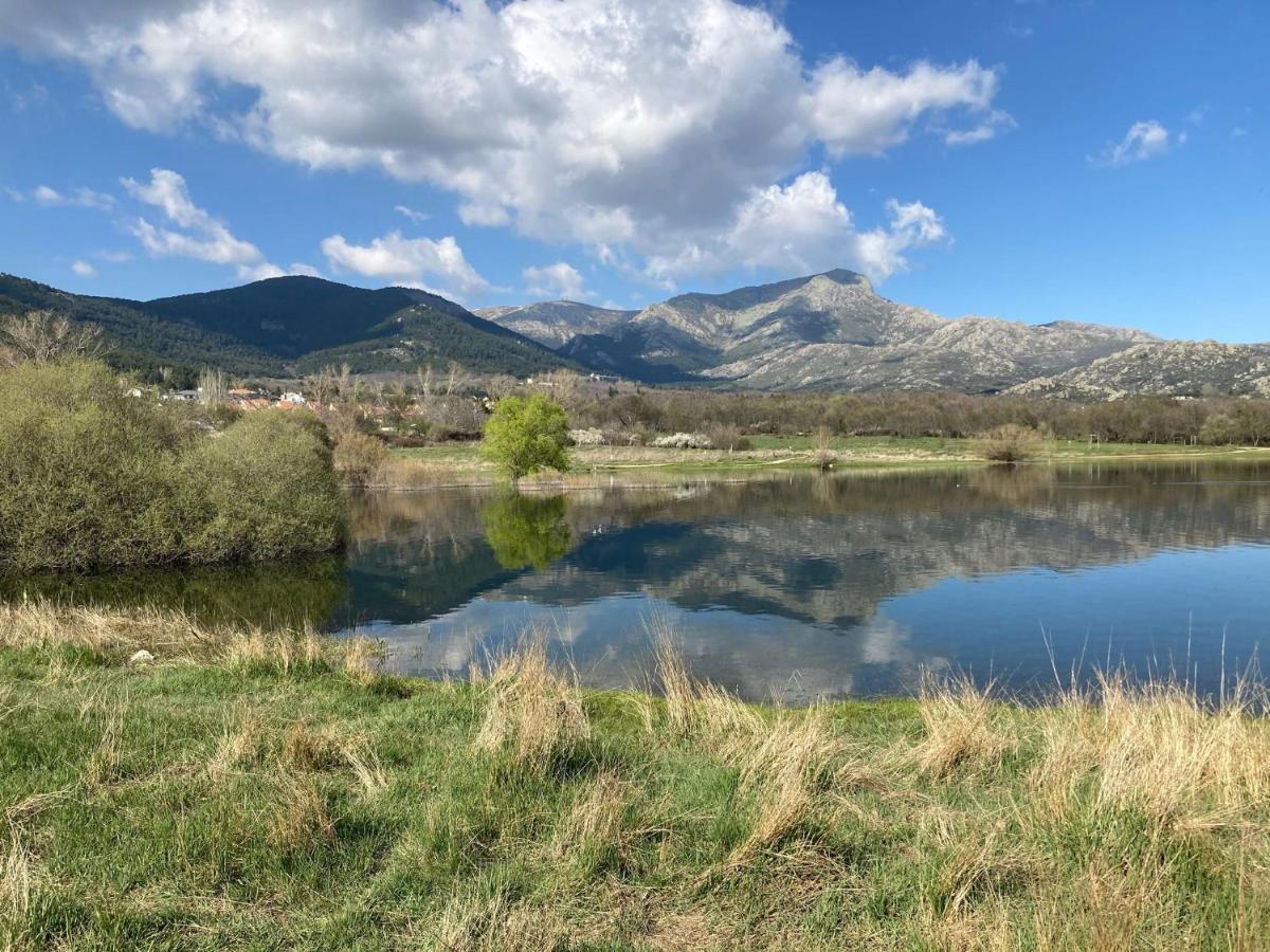 Los Cedros, Gran Chalet Con Piscina Y Apartamento En Navacerrada Εξωτερικό φωτογραφία