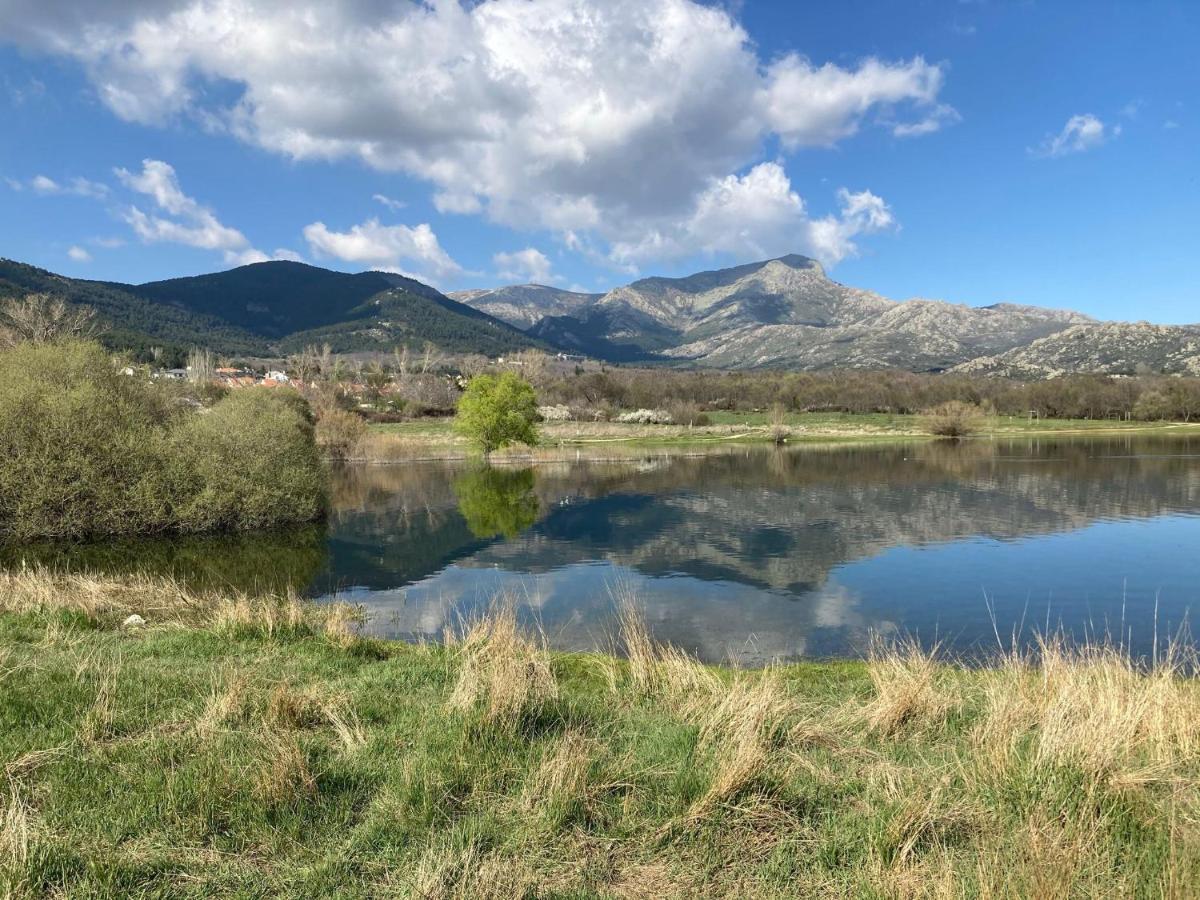 Los Cedros, Gran Chalet Con Piscina Y Apartamento En Navacerrada Βίλα Εξωτερικό φωτογραφία