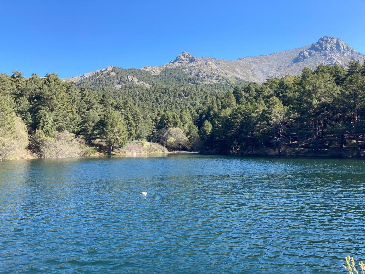 Los Cedros, Gran Chalet Con Piscina Y Apartamento En Navacerrada Βίλα Εξωτερικό φωτογραφία